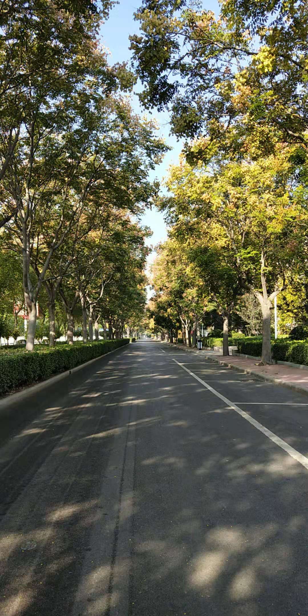 微信圖片_20181006134536 微信圖片_20181006134536